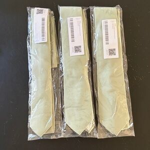 Azazie Light Sage Green Men's Tie - Set of 3